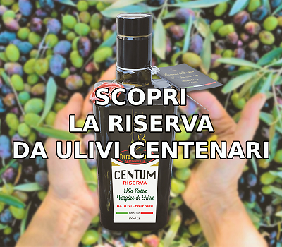 ulivi centenari per la produzione di olio extravergine d'oliva
