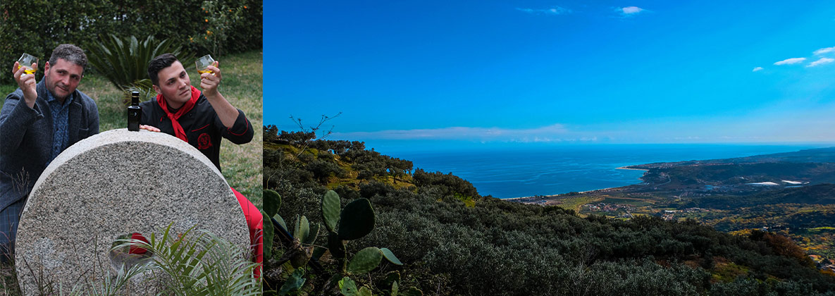 Terre di Calabria Azienda Agricola Biologica produce olio extravergine d'oliva