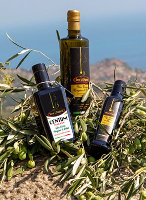 Terre di Calabria Azienda Agricola Biologica produce olio extravergine d'oliva