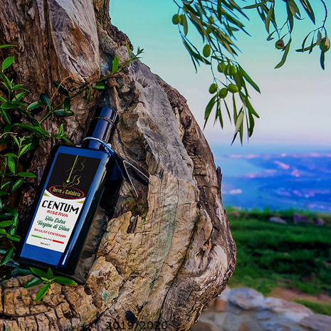 Olio extra vergine di oliva "centum" da ulivi secolari bottiglia di vetro da 500ml gasperina catanzaro calabria